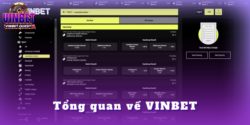 VINBET - VINBET.QUEST || ĐĂNG KÝ NGAY - TRANG CHỦ 2025 32 Tổng quan về VINBET