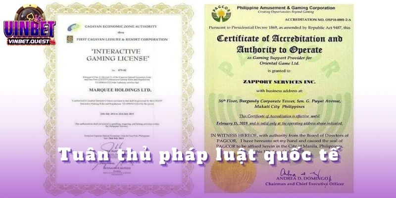 CEO Vinbet Đã Học Được Gì Từ Những Lần Thua Lớn Nhất? 4 Tuân thủ pháp luật quốc tế