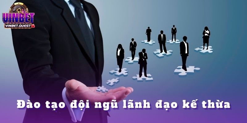 Từ Một Người Đặt Cược Đến Một Chiến Lược Gia: CEO Vinbet Đã Thay Đổi Như Thế Nào? 4 Đào tạo đội ngũ lãnh đạo kế thừa