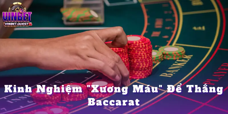 Hoàng Mèo Thắng Liên Hoàn 9 Ván Baccarat – Ăn Gọn 300 Triệu Tại Vinbet 3 Hoàng Mèo Thắng Liên Hoàn 9 Ván Baccarat – Ăn Gọn 300 Triệu Tại Vinbet