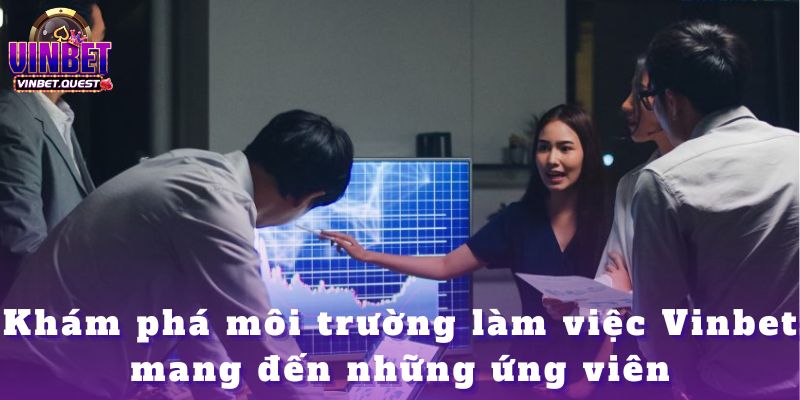 Tuyển Dụng Leader IT Tại Vinbet – Dẫn Dắt Chuyển Đổi 2025 2 Tuyển Dụng Leader IT Tại Vinbet – Dẫn Dắt Chuyển Đổi 2025
