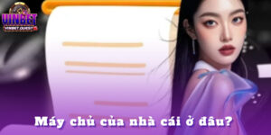 may chu cua nha cai o dau anh dai dien
